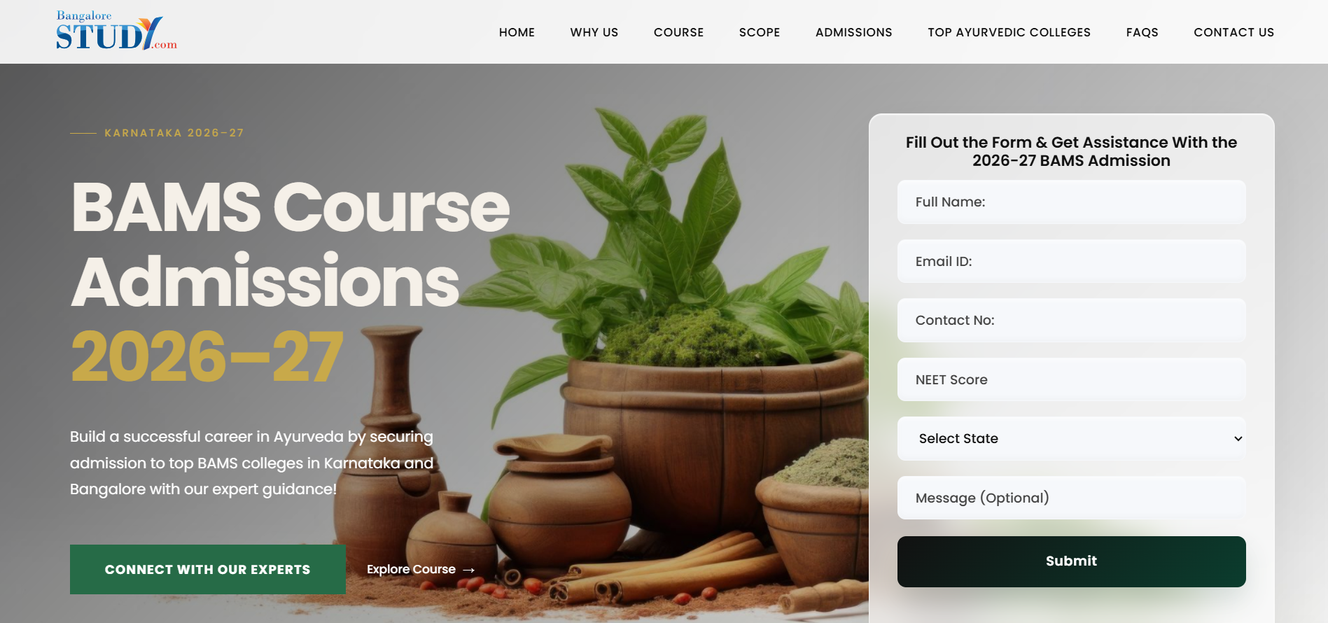 Landing page 5